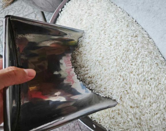 xuất khẩu gạo tại ấn độ